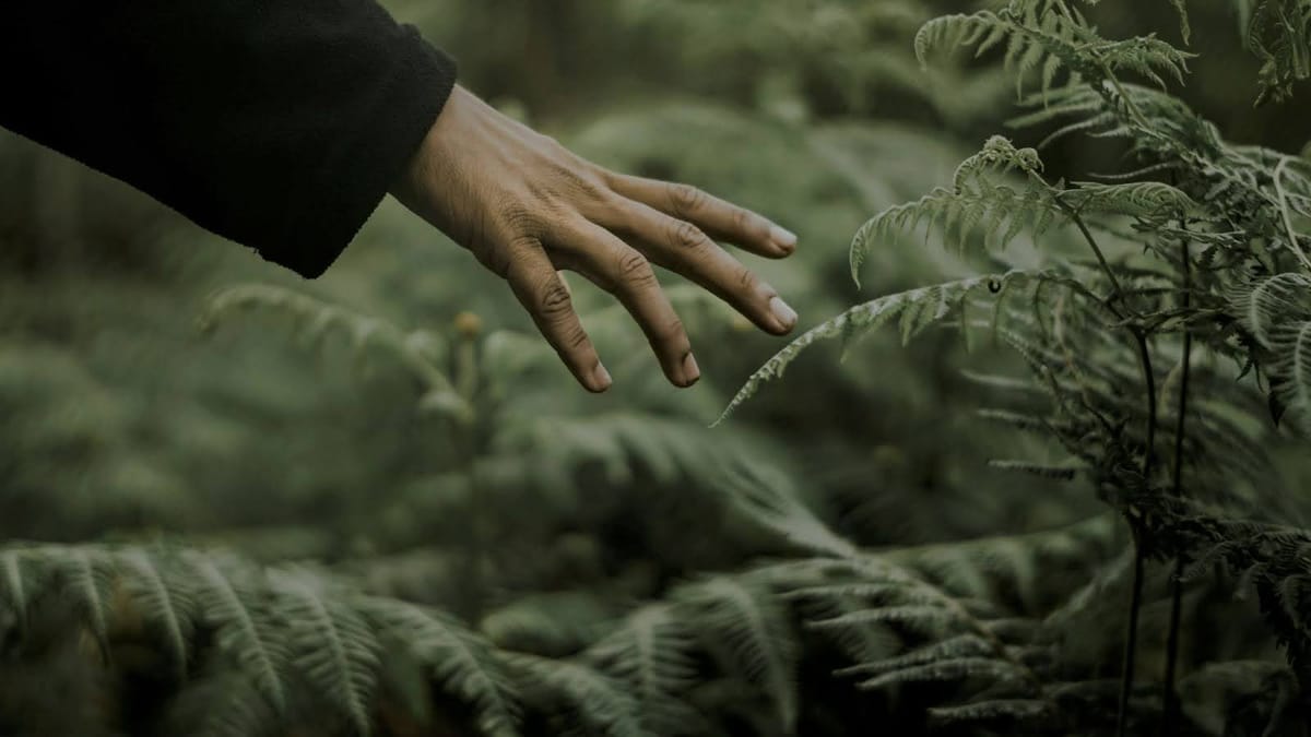 Sud Ouest France Hub